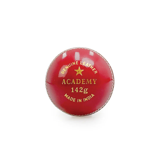 Victor Academy Training Ball
