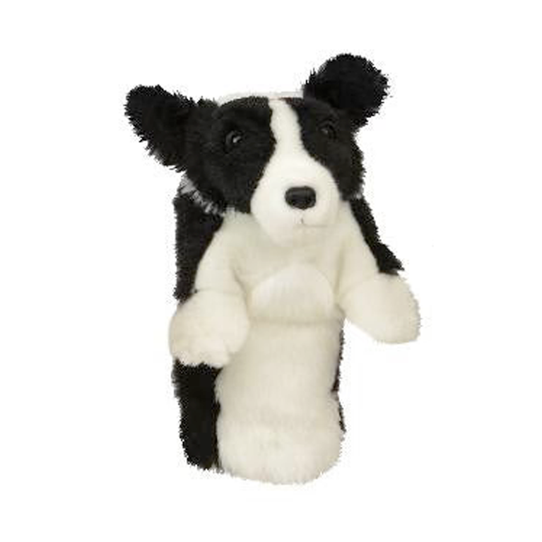Daphne Border Collie Headcover