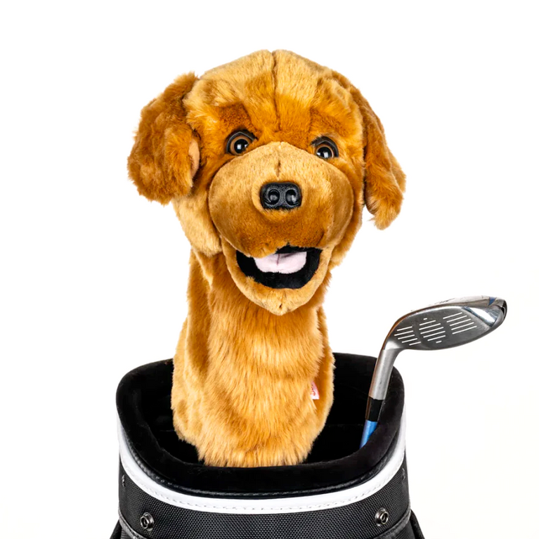 Daphne Golden Retriever Driver Cover