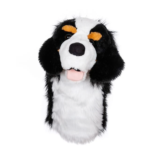 Daphne Bernese Mountain Dog Headcover
