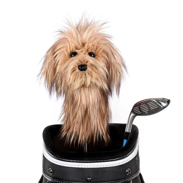 Daphne Scruffy Dog Driver Headcover