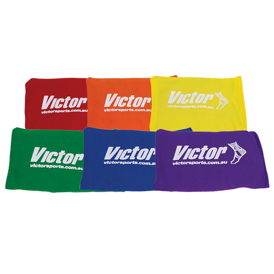 VICTOR BEAN BAG